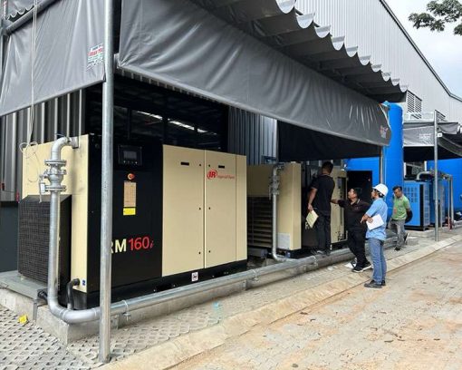 A large paper enterprise